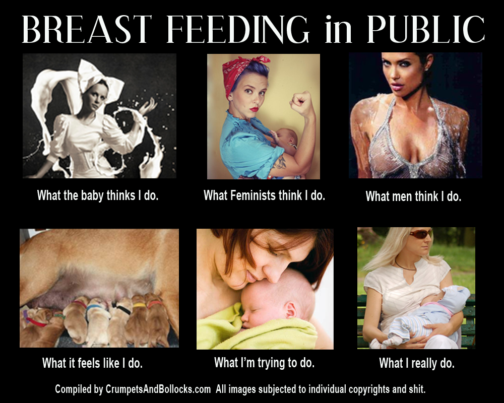 Breastfeeding in Public Funny