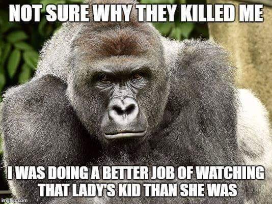 Bullying parents is on the rise, and it has to stop. Stop acting like the gorilla who was shot for beating a boy. Do I have to raise everyone's kids?